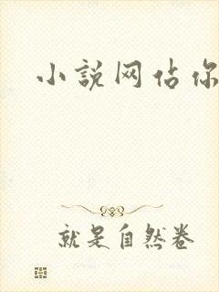 小说网站你懂的封面