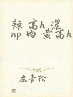 辣 高h 浓 np 肉 黄高h封面