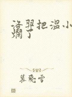 洛羿把温小辉做烂了