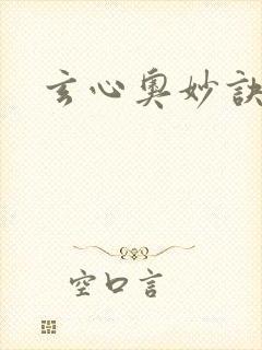 玄心奥妙诀封面