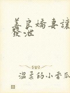 善良娇妻让老丁发泄封面