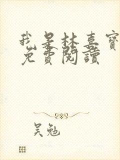 我是林喜宝小说免费阅读封面