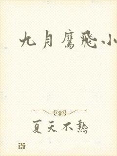 九月鹰飞小说封面