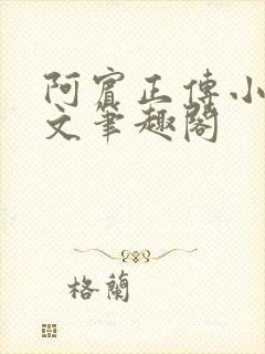 阿宾正传小说全文笔趣阁封面