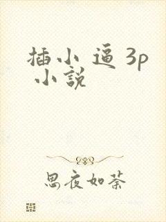 插小 逼 3p 小说