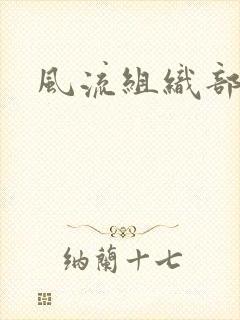 风流组织部长封面