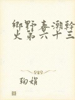 乡野春潮干柴烈火第六十三章封面