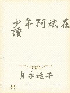 少年阿斌在线阅读