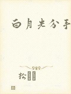 白月光分手日常