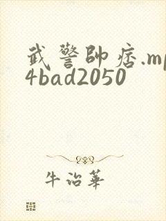 武警帅痞.mp4bad2050