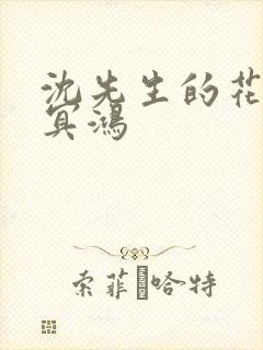 沈先生的花式调冥鸿