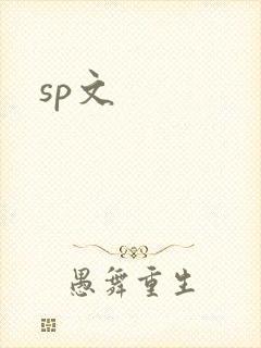 sp文封面