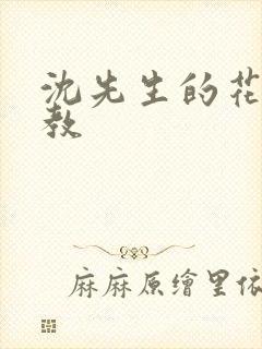 沈先生的花式调教