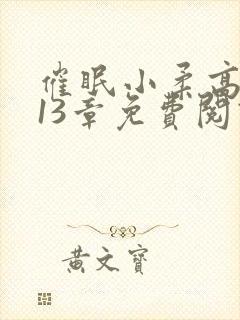 催眠小柔高达第13章免费阅读