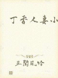 丁香人妻小说封面