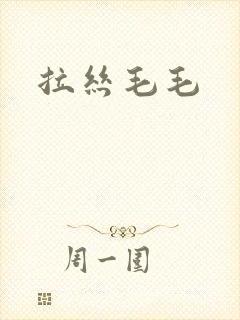 拉丝毛毛