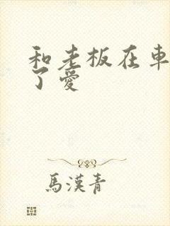 和老板在车里做了爱封面