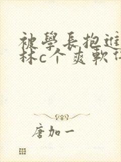 被学长抱进小树林c个爽软件封面