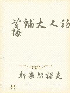 首辅大人的小青梅