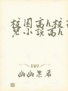 校园高h校花女儿小说高h封面