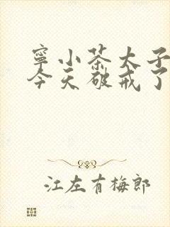 宁小茶太子殿下今天破戒了吗免费阅读