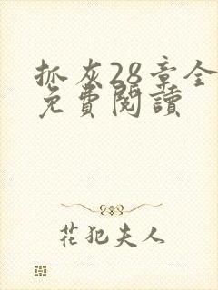 抓灰28章全部免费阅读封面