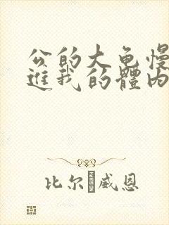 公的大龟慢慢挺进我的体内视频