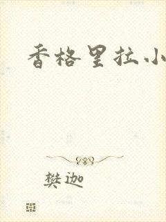 香格里拉小说封面