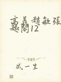 高义赵敏张倩笔趣阁12封面