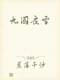 九国夜雪
