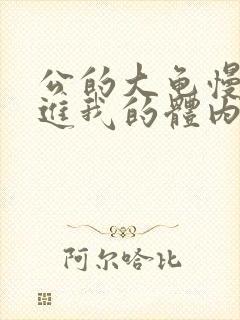 公的大龟慢慢挺进我的体内