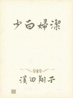 少白妇洁封面