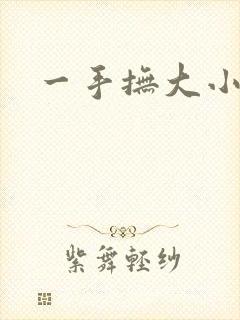 一手抚大小说