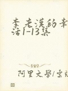 李老汉的幸福生活1-13集