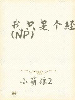 我只是个经纪人(NP)