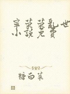 宁荣荣乱世浮殇小说免费