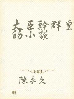 大臣干群皇太后的小说