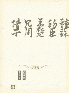 借兄弟的种生孩子周楚臣苏糖