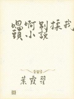 嗯啊别揉我的奶头小说