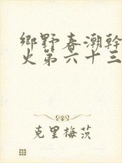 乡野春潮干柴烈火第六十三章