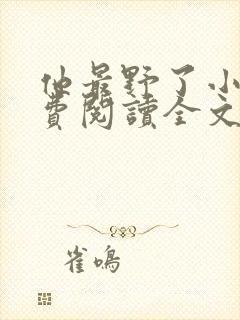 他最野了小说免费阅读全文