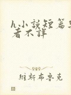 h小说短篇集作者不详