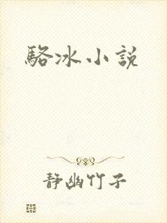 骆冰小说