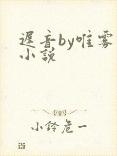 迟音by唯雾的小说