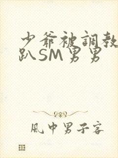 少爷被调教室跪趴SM男男封面