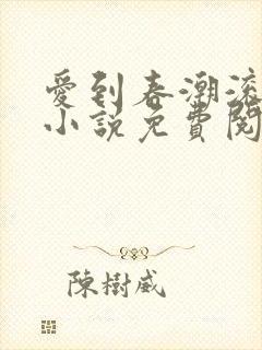 爱到春潮滚滚来小说免费阅读