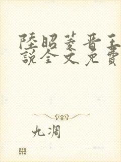 陆昭菱晋王的小说全文免费阅读