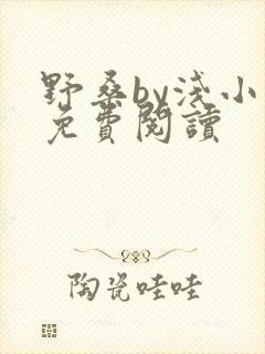 野桑by浅小说免费阅读