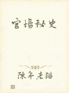 官场秘史
