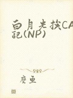 白月光挨CAO记(NP)